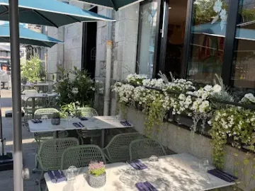 terrase sud